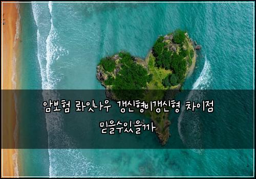암보험 롸잇나우  갱신형비갱신형 차이점 믿을수있을까
