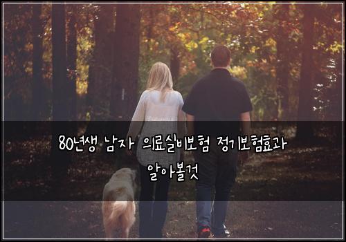 80년생 남자 의료실비보험 정기보험효과 알아볼것