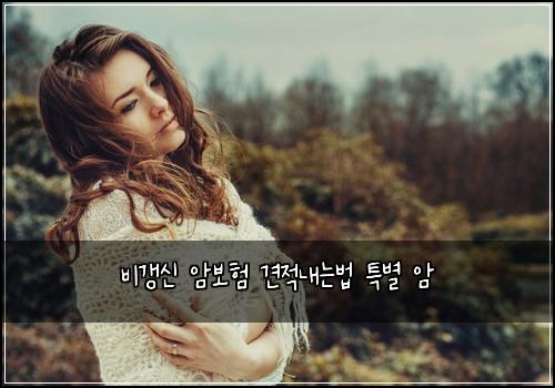 비갱신 암보험 견적내는법  특별 암