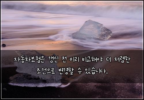 오늘의 이미지