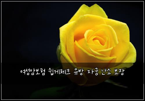 μ¬μ±μ보ν μ½κ²μ²΄ν¬ μ λ°© μκΆ λμ 보μ₯