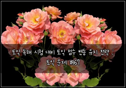 토익 독해 시험 대비 토익 점수 변동 유지 전략 : 토익 문제 #167