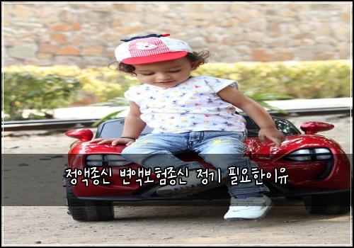 정액종신 변액보험종신 정기 필요한이유