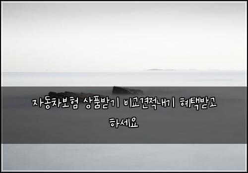 자동차보험 상품받기  비교견적내기 혜택받고 하세요