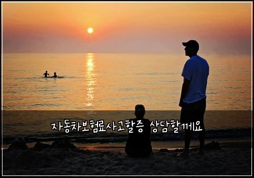 자동차보험료사고할증 상담할께요