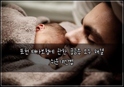 포천 태아보험에 관한 궁금증 모두 해결 쉬운계산법