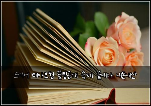 드디어 태아보험 꿀팁공개  숙제 끝내다 내돈내산