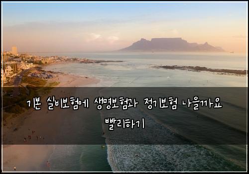 기본 실비보험에 생명보험과 정기보험 나을까요 빨리하기