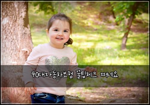 40대자동차보험 꿀팁체크  쩌네요