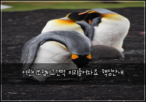 어린이보험비교견적 미리들어놔요 핵심안내