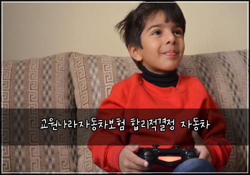 교원나라자동차보험 합리적결정  자동차