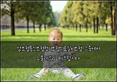 암보험종신보험정기보험의료실비보험 그중에서 노블레스ci 체크합시다