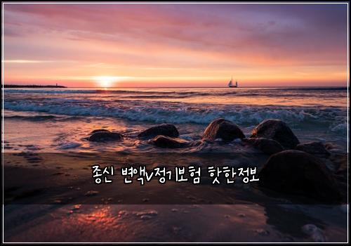 종신 변액v정기보험 핫한정보 