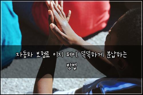 자동차 보험료 이지 페이: 똑똑하게 분납하는 방법