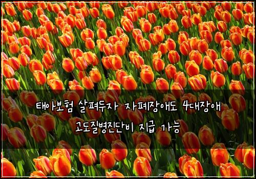 태아보험 살펴두자  자폐장애도 4대장애 고도질병진단비 지급 가능