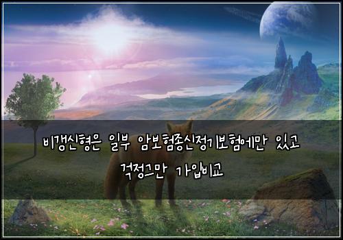 비갱신형은 일부 암보험종신정기보험에만 있고 걱정그만 가입비교