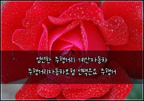 엄선한 주행거리 계산자동차 주행거리자동차보험 선택은요  주행거