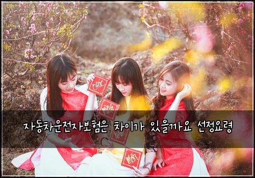 자동차운전자보험은 차이가 있을까요 선정요령