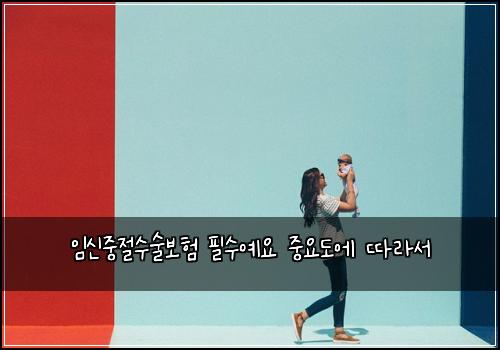임신중절수술보험 필수예요  중요도에 따라서