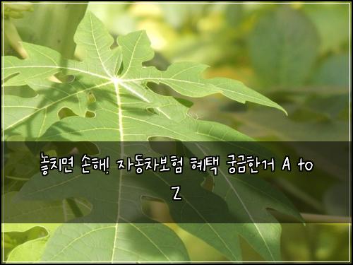  놓치면 손해! 자동차보험 혜택 궁금한거 A to Z
