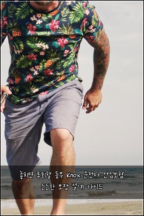  놓치면 후회할 동부 Knox 운전자 안심보험: 든든한 보장 설계 가이드