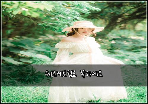 쉐보레보험료 꼭하세요