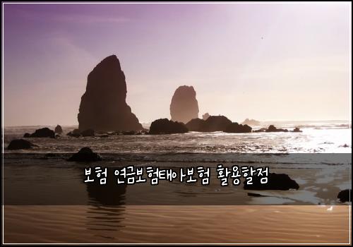 보험 연금보험태아보험 활용할점
