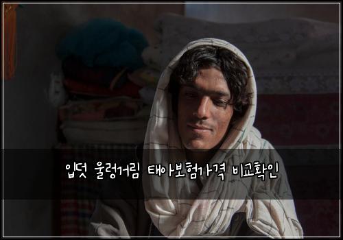 입덧 울렁거림 태아보험가격 비교확인