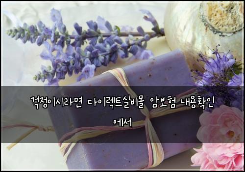 걱정이시라면 다이렉트실비몰 암보험 내용확인  에서