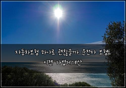 자동차보험 하나로 괜찮을까 운전자 보험도 이젠 가볍게계산