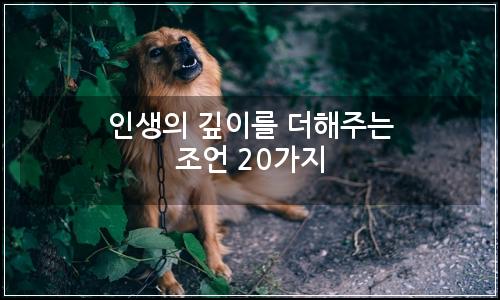 오늘의 이미지