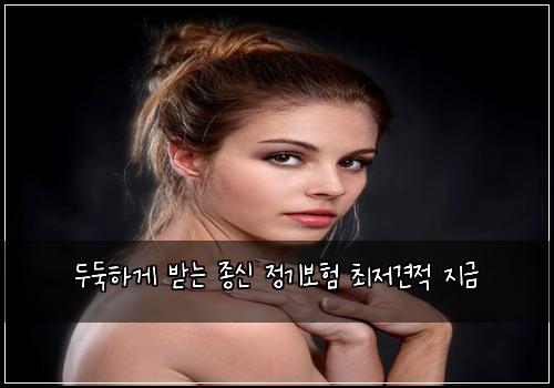 두둑하게 받는 종신 정기보험 최저견적  지금