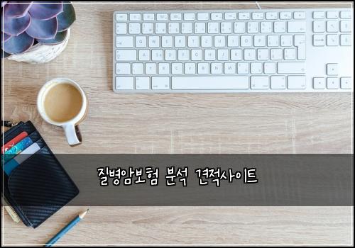 질병암보험 분석  견적사이트