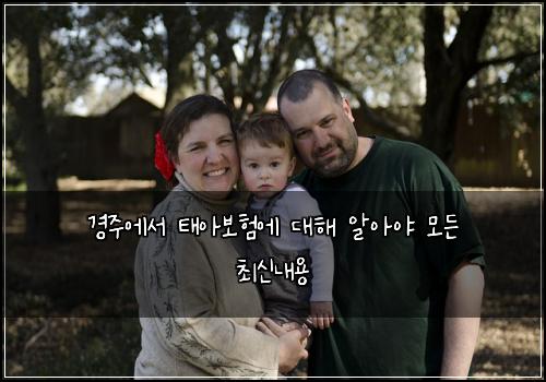 경주에서 태아보험에 대해 알아야 모든 최신내용
