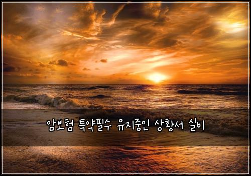 암보험 특약필수  유지중인 상황서 실비