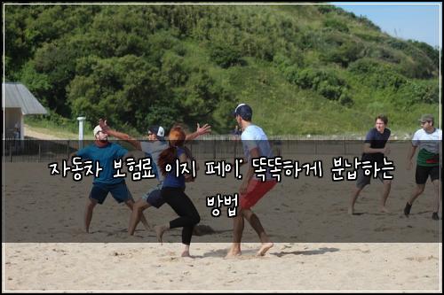 자동차 보험료 이지 페이: 똑똑하게 분납하는 방법