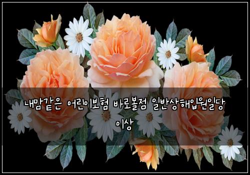내맘같은 어린이보험 바로볼점  일반상해입원일당 이상