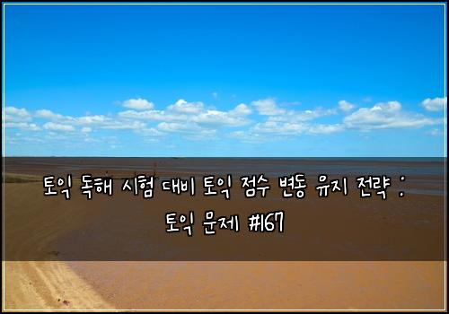 토익 독해 시험 대비 토익 점수 변동 유지 전략 : 토익 문제 #167