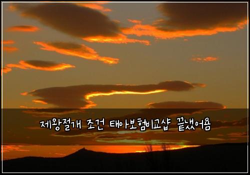 제왕절개 조건 태아보험비교샵 끝냈어욤