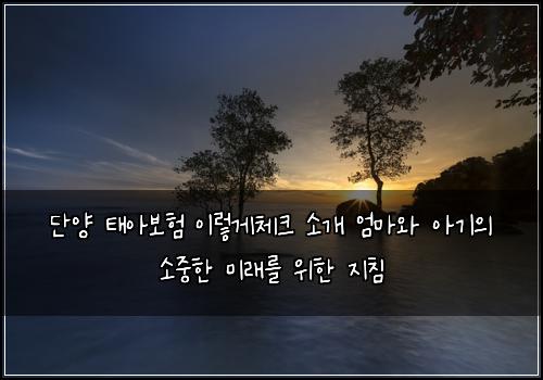 단양 태아보험 이렇게체크  소개 엄마와 아기의 소중한 미래를 위한 지침