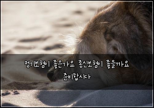 정기보험이 좋은가요 종신보험이 좋을까요 준비합시다
