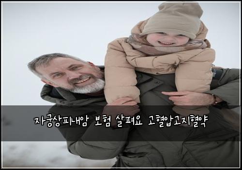자궁상피내암 보험 살펴요  고혈압고지혈약