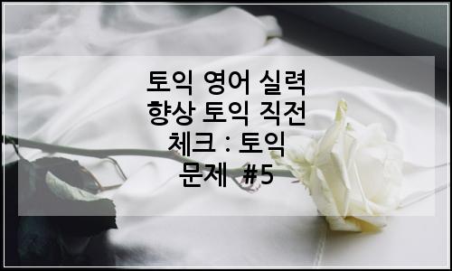 오늘의 이미지