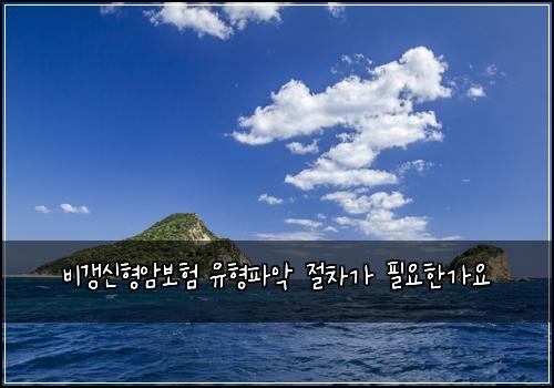 비갱신형암보험 유형파악  절차가 필요한가요
