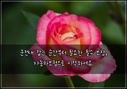 오늘의 이미지