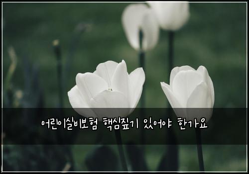어린이실비보험 핵심짚기  있어야 한가요