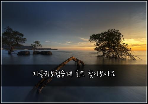 자동차보험승계 힌트 찾아보아요