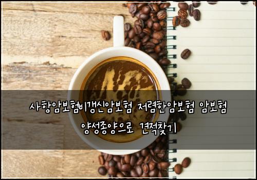 사항암보험비갱신암보험 저렴한암보험 암보험 양성종양으로 견적찾기