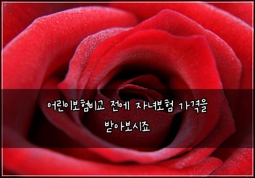 어린이보험비교 전에 자녀보험 가격을 받아보시죠