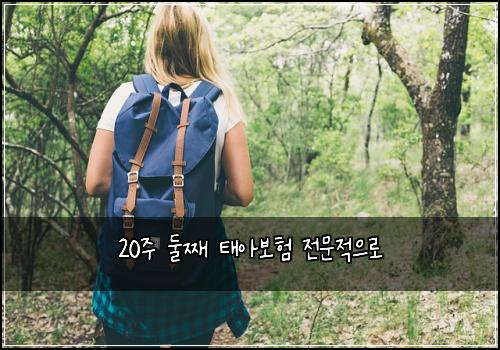 20주 둘째 태아보험 전문적으로 